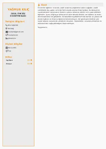 Okul Öncesi Öğretmeni Öğretmenliği Cv Örnekleri cv indir